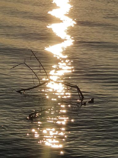 Sonnenlichtschamane 
